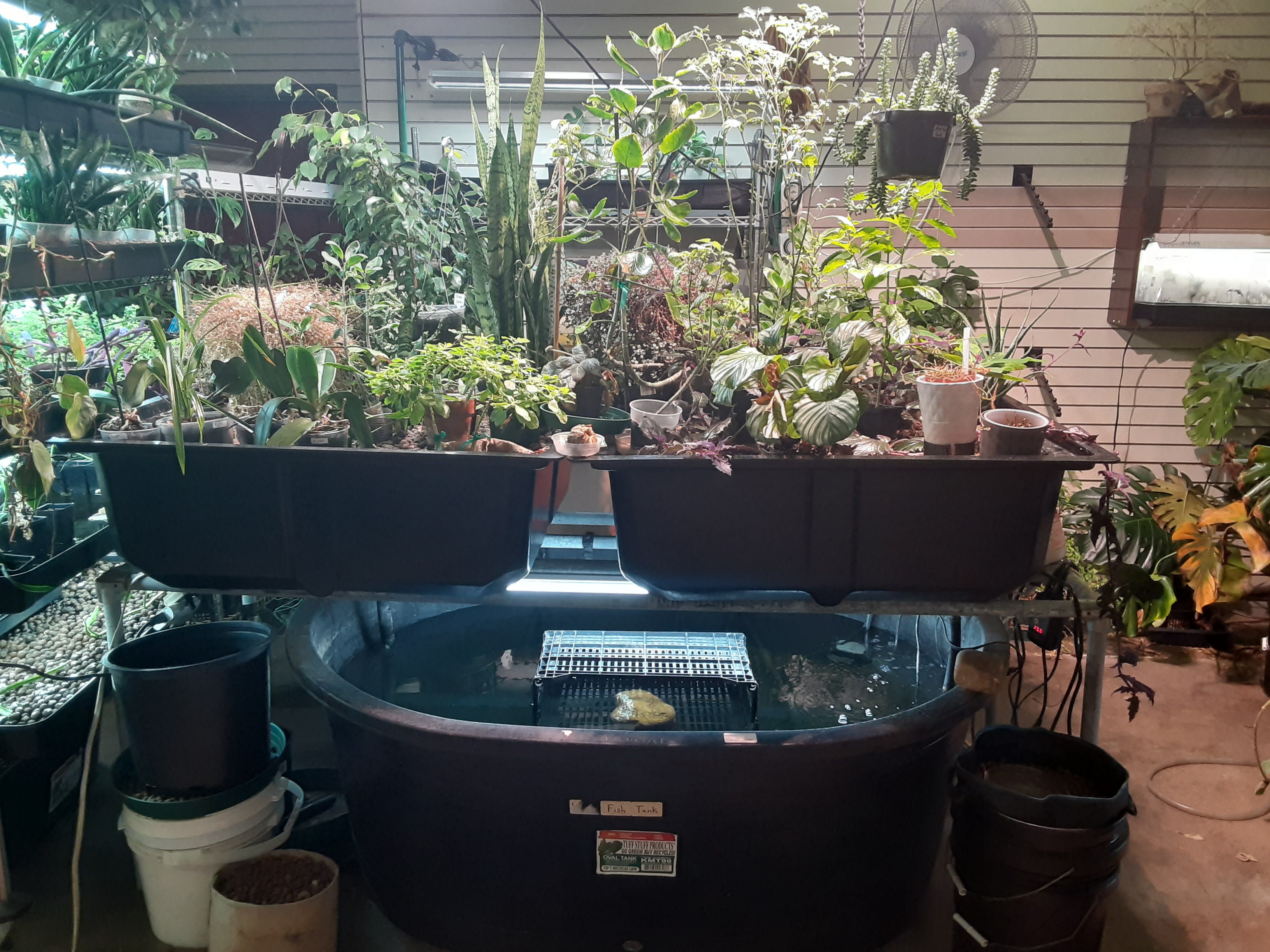 Brite Ideas Aquaponics, Hydroponics & Organics