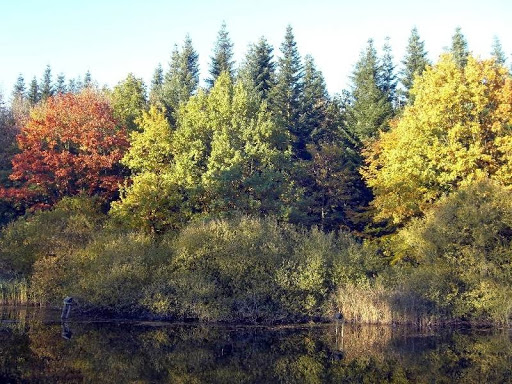 Ruhepark Lehmkuhlen - Thumbnail