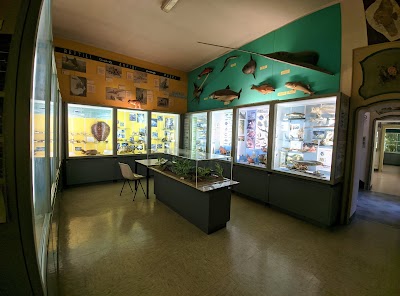 Museo Civico Craveri di Storia Naturale