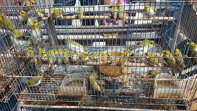 Photos of Pasar Tempe