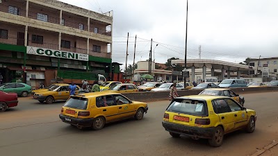 Photos of Tradex Emana