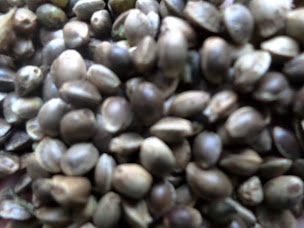 Photo n°3 de Chanvre Mellois à Melleran (Magasin de matériaux d'isolation)