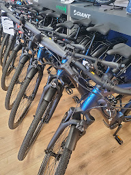 Photo n°16 de Giant City Tulle à Tulle (Magasin de vélos d'occasion)