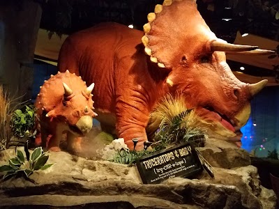 Photos of T-Rex Cafe