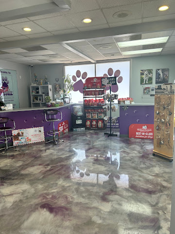 A Heart Away From Home Pet Boutique by null