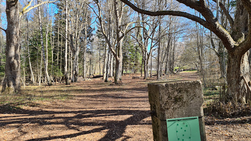 Tidaholms Discgolf - Thumbnail