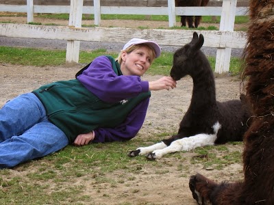 Dakota Ridge Farm