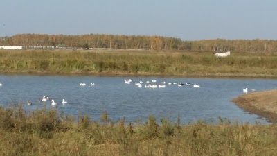 Photos of Koskul'