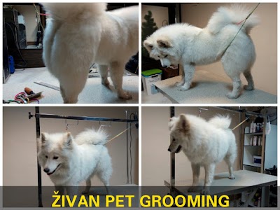 Photos of Živan Pet Shop