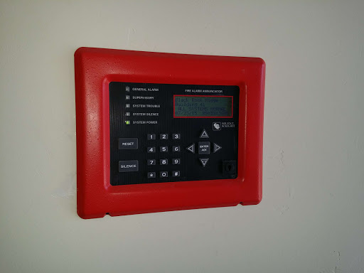 Professional Alarm