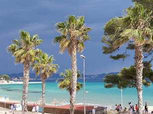 Photo n°16 de L'Orchidée à La Ciotat (Restaurant français)