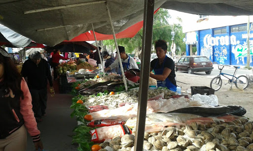 PESCADOS Y MARISCOS EL PRIMO PANCHO - Thumbnail