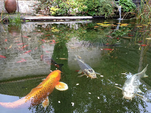 Photo n°6 de Les Gîtes Adamois à L'Isle-Adam (Gîte)
