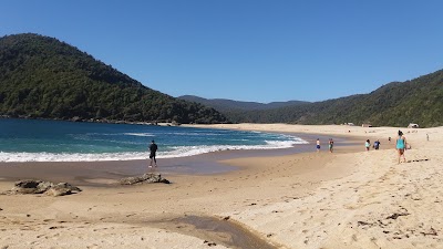 Photos of Playa De Caleta Huellelhue