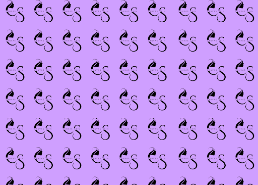 Canvas Skin - Visual