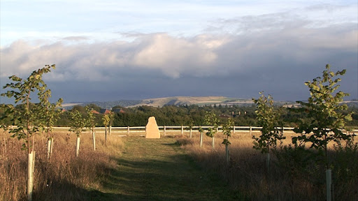 Westmill Woodland Burial Ground Gallery - United Kingdom