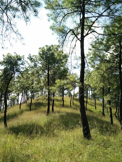 Photos of Champadevi