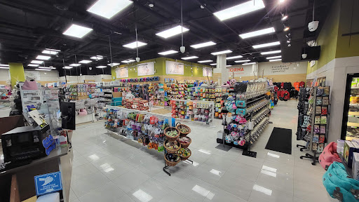 Korna Pet Kitsilano Gallery - Canada