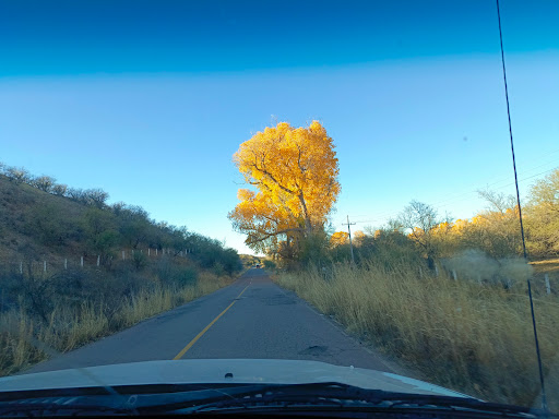 Mascareñas - Visual