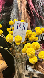 Photo n°4 de Bien chez soi immobilier à Sainte-Savine (Agence immobilière)