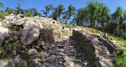 Castro de Montealegre