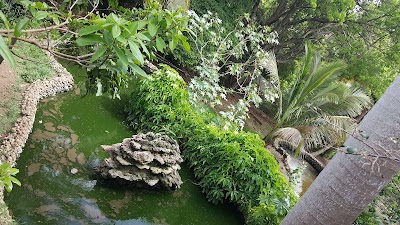 Photos of Barbados Wildlife Reserve, St. Andrew