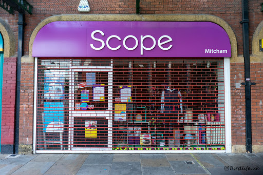 Scope Mitcham - Visual