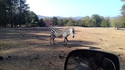 Harmony Park Safari