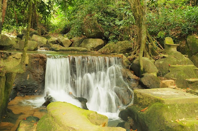 Secret Buddha Garden or Magic Garden