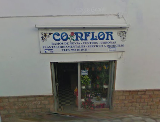 Coinflor - Visual