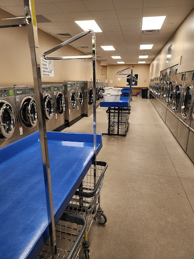 Boyne Laundry - Visual