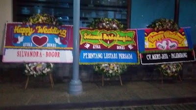 Photos of Rodalink