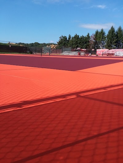 Tennis Courts, Inc