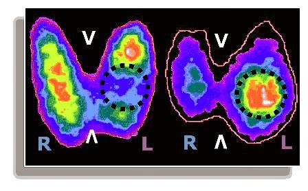 Practice of Nuclear Medicine - Thumbnail