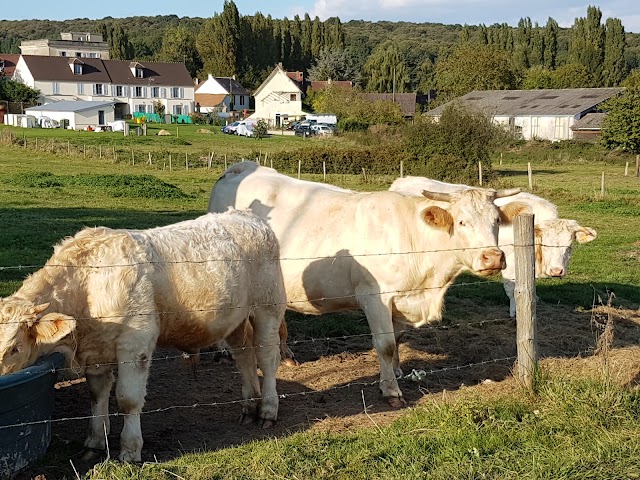 Parc naturel régional du Vexin français