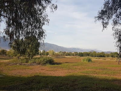 Photos of Co&ntilde;a Co&ntilde;a
