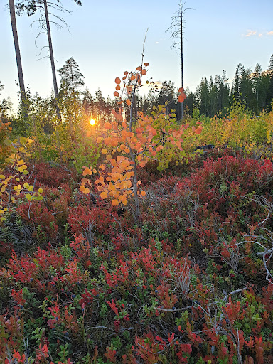 Råberget - Visual