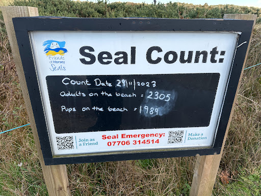 Horsey Beach Car Park Gallery - United Kingdom