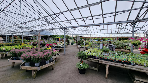 Fairways Garden Centre - Thumbnail