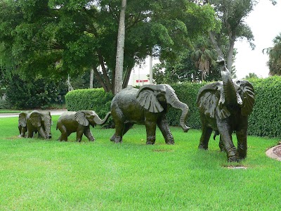 Photos of Best Western Naples Inn & Suites