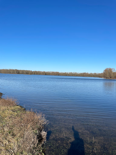 Mittelweser
