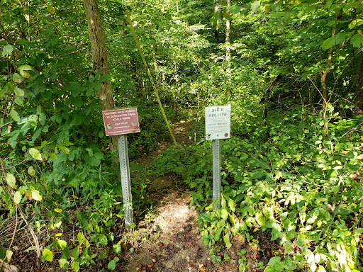 Robinson Falls - Visual