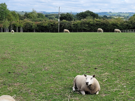 Grimsbury Community Farm - Thumbnail