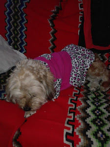 La Grande. Tienda de fábrica. 1