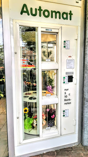Aktuelles Blumen und Pflanzen Center Neuhann, Florist - Thumbnail