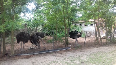 Photos of Wilkado Royal Resort & Spa