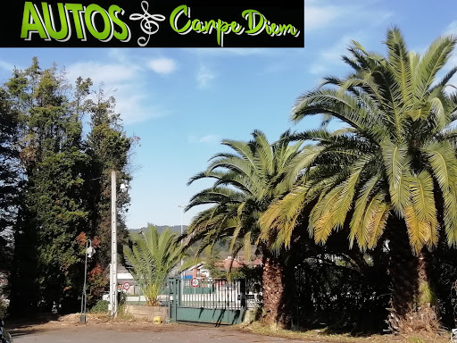 Autos carpediem s.l