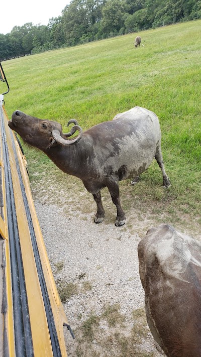 Wild Country Safari Park