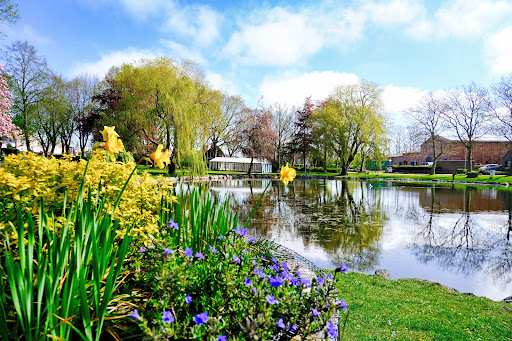 Dorfteich Petersdorf - Germany