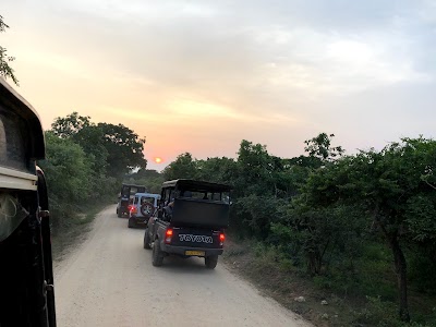 Photos of yala wildlife office
